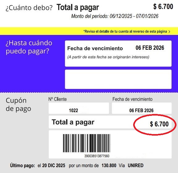 Boleta real de cliente De Rossi, con el total a pagar destacado